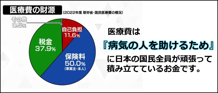 医療費の内訳図