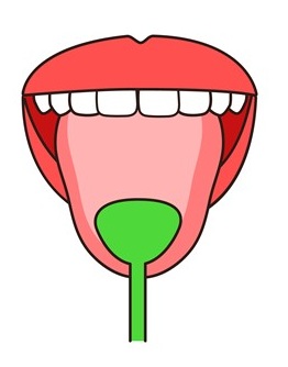 舌ブラシの使い方